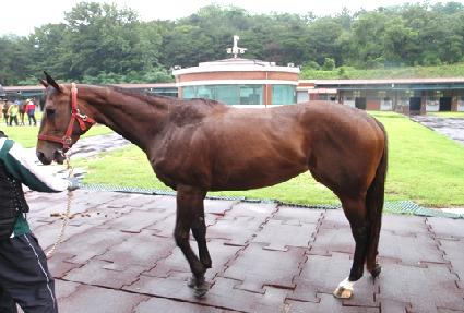 ���� ����