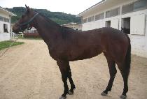 ������ (BANGUL GONGJU) ����