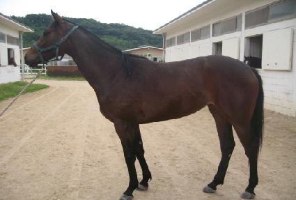 ������ ����