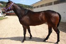 ����ҳ� (NABI SONYEO) ����