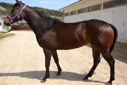 ����ҳ� ����