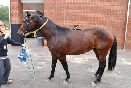 ��ȣ ����