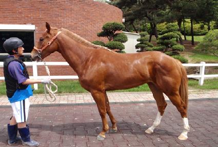 ����ȯ�� ����