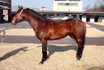 �������� (MANJEOM BIYUL) ����