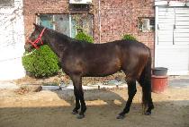 �¸�Ȳ�� (SEUNGNI HWANGJE) ����