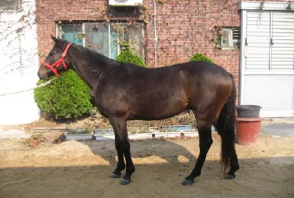 �¸�Ȳ�� ����