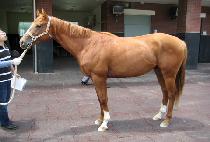 ���� (TOP GEAR) ����