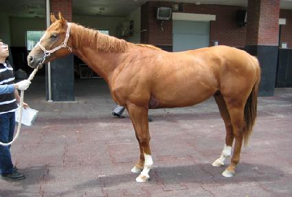 ���� ����