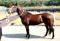 ĥõ�� (CHILCHEONSEOK) ����