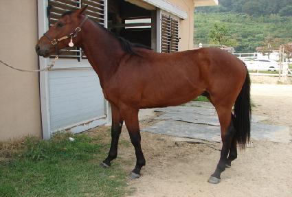 �ѳ��뺸 ����