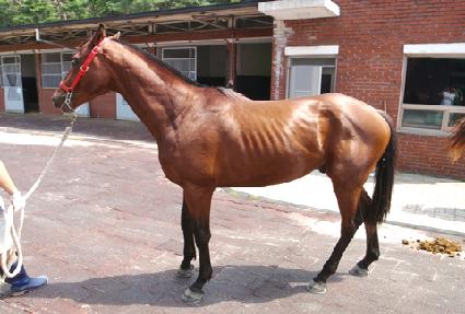 ���غ��丮 ����