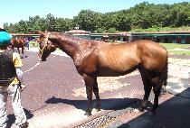 ��Ʈ������ (CENTRAL BLUE) ����