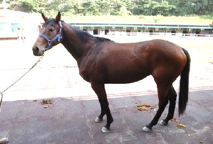 ��õ�� ����