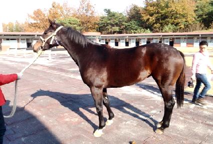 ���ϻ� ����