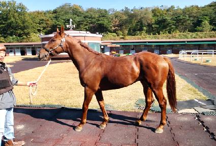 ������Ƽ ����