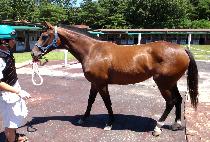 Ŭ�����ô� (CLEAN UP SIDAE) ����