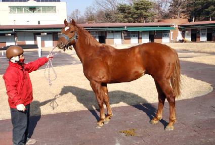 �ο�ŷ ����