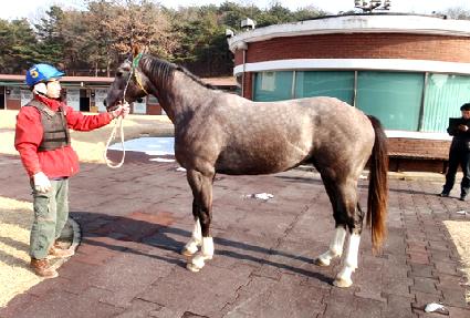 Ʈ������ũ ����