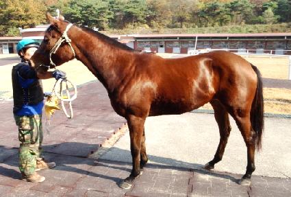 �������� ����