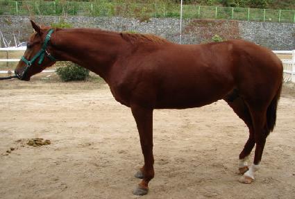 �����ѺҲ� ����