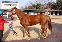 ȣŰ��Ű (HOKEY POKEY) ����