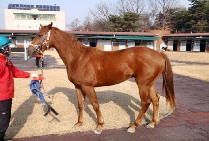 ȣŰ��Ű ����