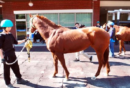 ����Ʈ���� ����