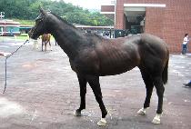 ���뿡�̽� (NANO ACE) ����