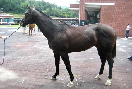 ���뿡�̽� ����