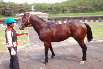 �ظ��ù��� (JUN MAXIMUS) ����