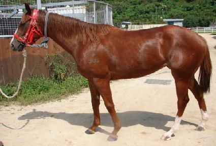 ��ε���� ����