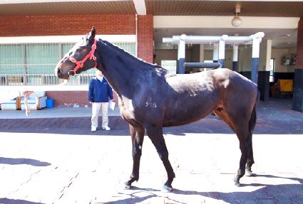 �������� ����