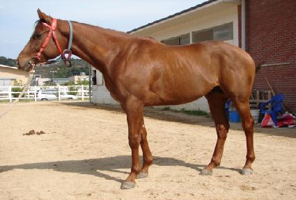 õ�Ϻ��� ����