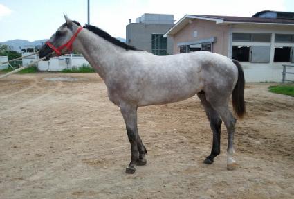 ��� ����