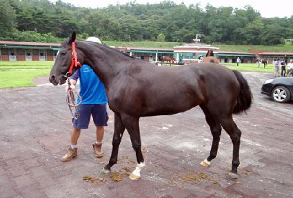 �����¾� ����