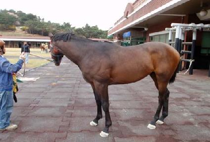 �ְ����� ����