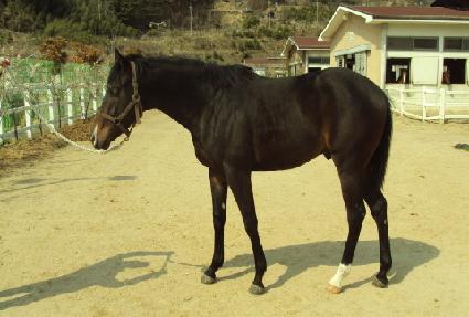 ��δ�� ����