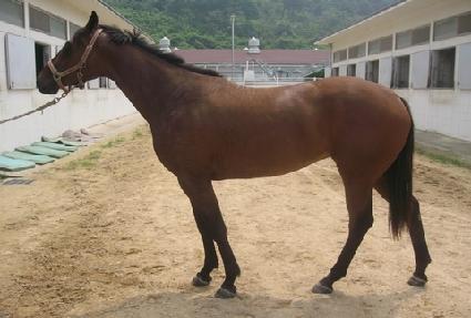 �ػ罺���� ����