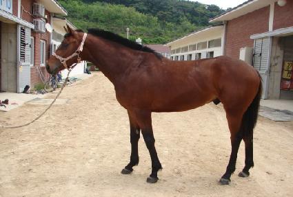 �ػ罺�̻��� ����