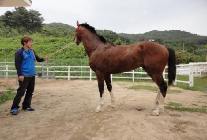 �ػ罺���� ����