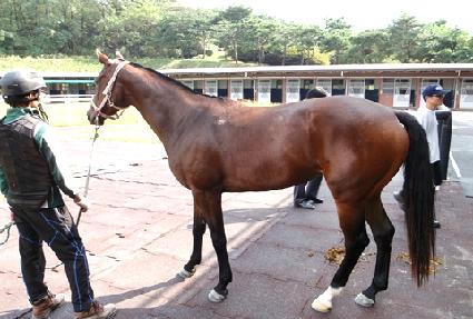 �踲��Ʈ ����