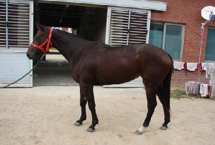 ����ȭ ����