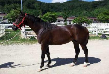 ���������� ����