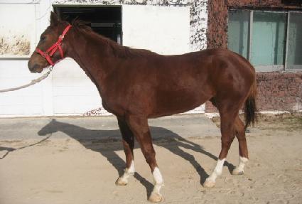 �������� ����