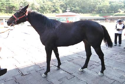 ���ΰ����� ����