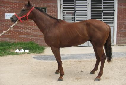 ��������� ����