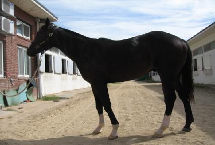 �۽�Ʈķ�� ����