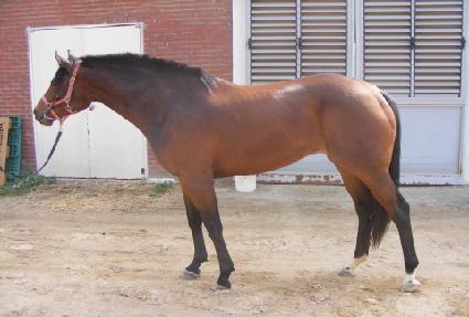 ����ī ����