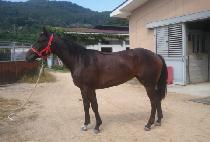 �Ϲ���� (BUKBANG MIIN) ����