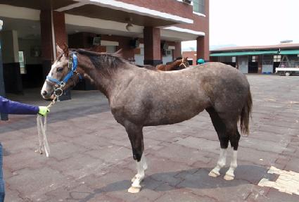 �̷� ����